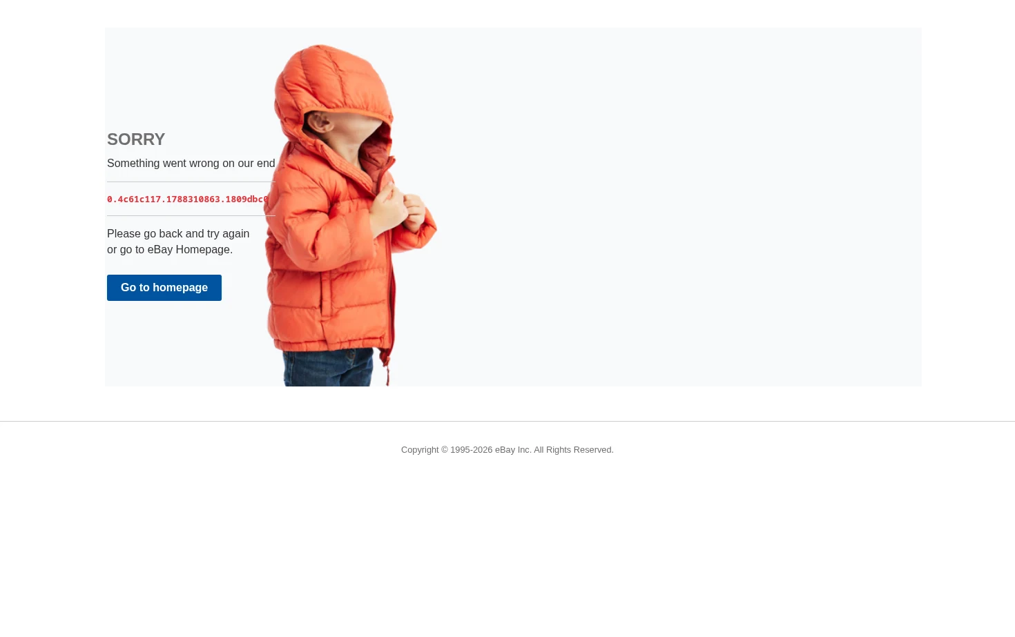 eBay 页面快照